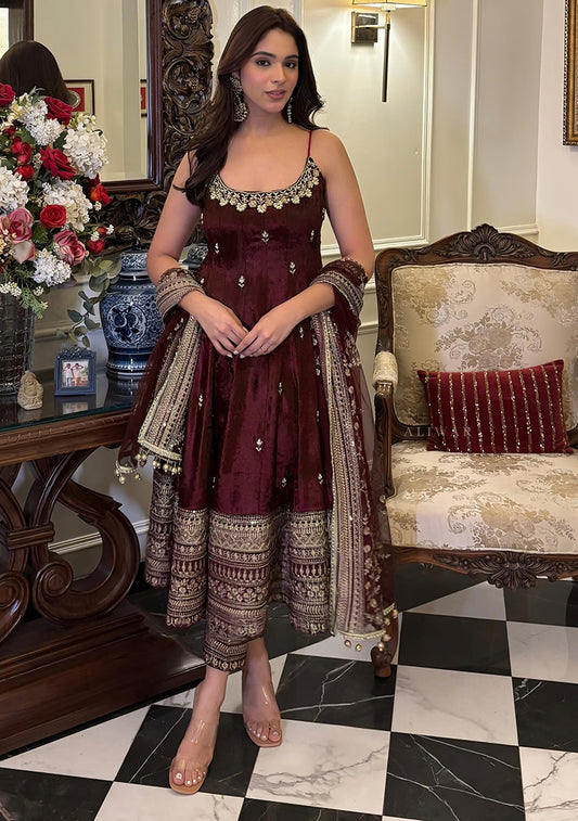 Saheli Wine Embroidery Sequence Work Blended Gown